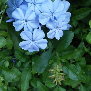 Meet your Posher, Cyndy